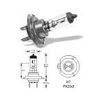 12V 55W PX26d H7 PREMIUM XENON +50% á2