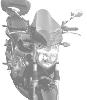 Plexi na motorku NEW. GEN SPORT čierna