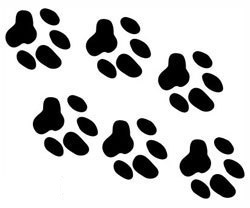 QUATTROERRE NÁLEPKA OTLACKY LABKY CERVENÝ