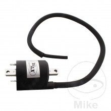 Zapalovací cívka TMX